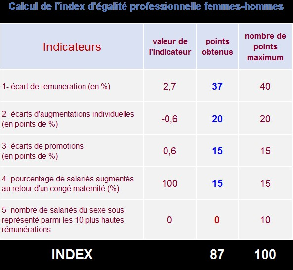 Tableau index égalité professionnelle